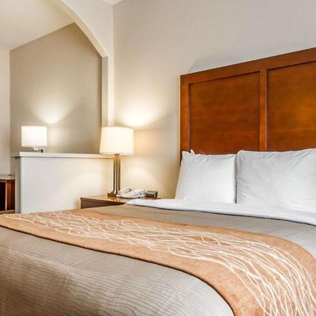 Comfort Inn & Suites Oakland Airport Esterno foto