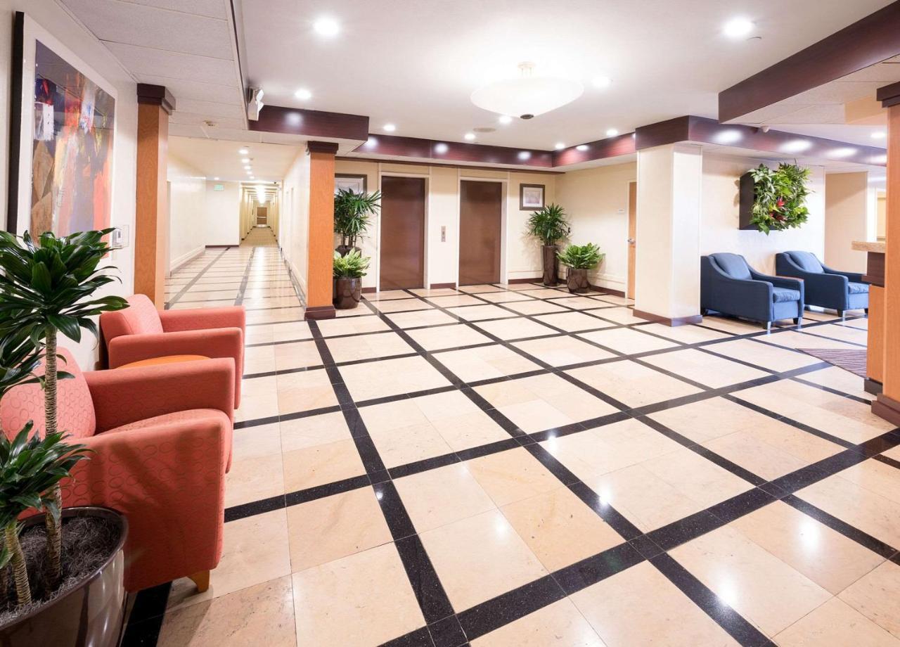 Comfort Inn & Suites Oakland Airport Esterno foto